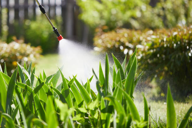 Tamper-Resistant Bait Stations for Rodents in Cowarts