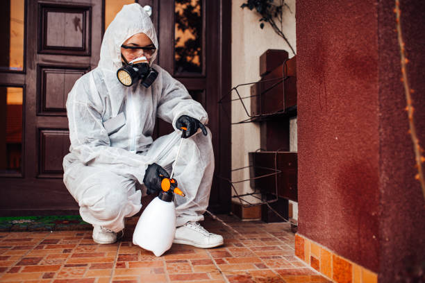 Attic and Crawl Space Rodent Treatment in Cowarts