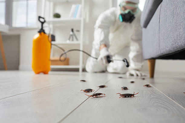Commercial Rodent Management in Cowarts